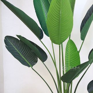 Chậu cây chuối giả cao 2m số 71