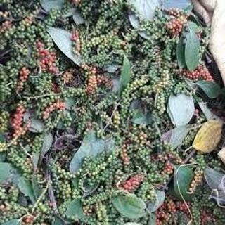Tiêu đen đắk lắk đảm bảo