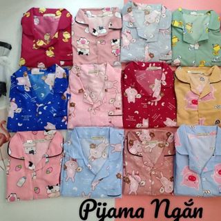 PIGAMA MẶC NHÀ100 VAI THÁI