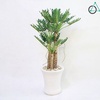 Chia sẻ Chậu cây xanh giả Cây gạc nai cao 130cm số 76