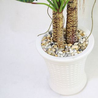 Chia sẻ Chậu cây xanh giả Cây gạc nai cao 130cm số 76