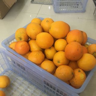trái cây sấy nguyên liệu detox