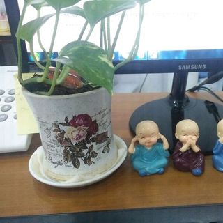 Bộ tượng tứ không
