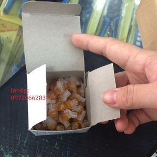 Rệp nối cáp mạng rệp nối cáp thoại 3M UY2