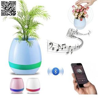 Chậu Trồng Cây Kiêm Loa Phát Nhạc