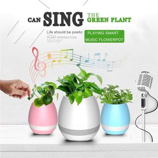 Chậu Trồng Cây Kiêm Loa Phát Nhạc