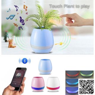 Chậu Trồng Cây Kiêm Loa Phát Nhạc