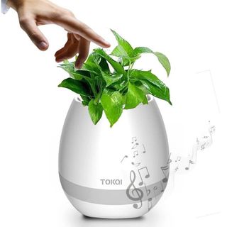 Chậu Trồng Cây Kiêm Loa Phát Nhạc