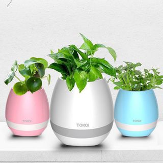 Chậu Trồng Cây Kiêm Loa Phát Nhạc