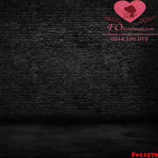 Vải phông nền trơn Fo11579