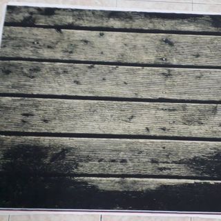 Vải phông nền trơn FO7786