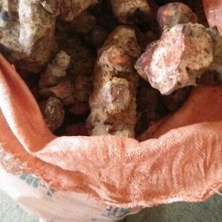 Khúc Khắc Đỏ