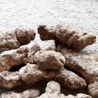Khúc Khắc Đỏ