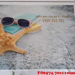 Vải phông nền hè FO6574