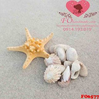 Vải phông nền hè FO6577