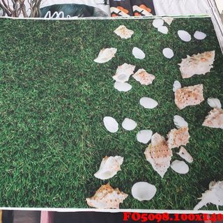Vải phông nền hè FO5098
