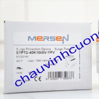 Chống sét lan truyền điện năng lượng mặt trời 1000VDC VDC 40kA STPT2-40K1000V-YPV