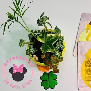 MẶT NẠ NUÔI DƯỠNG DA TỪ MẬT ONG