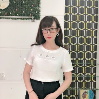 Áo kiểu công ty