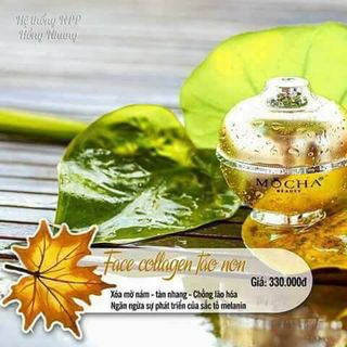 Face Collagen Tảo Non