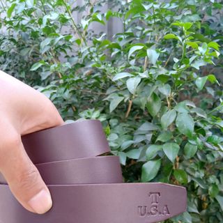 dây lưng