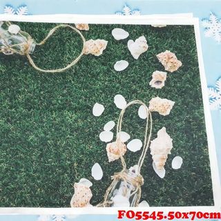 Vải phông nền hè FO5545