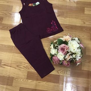 set bộ