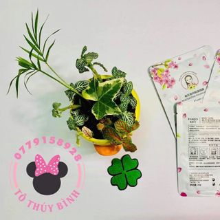 MẶT NẠ CÁNH HOA ĐÀO TRẮNG SÁNG DA