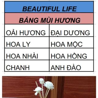 NƯỚC HOA ĐỂ PHÒNG BEAUTIFUL LIFE