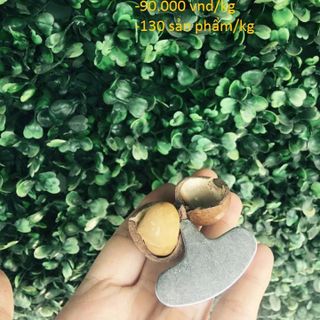 1kg DỤNG CỤ TÁCH HẠT MACCA