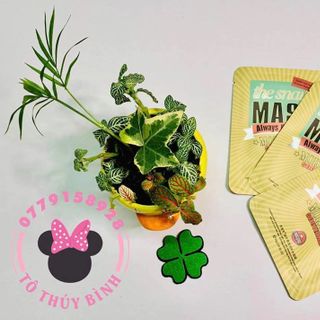 MẶT NẠ DƯỠNG DA QUANG HỌC NƯỚC