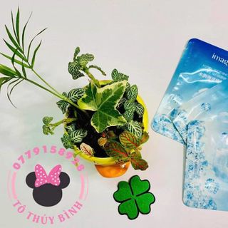 MẶT NẠ ĐÁ BĂNG CẤP NƯỚC MỊN DA