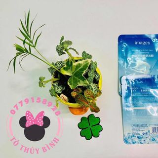 MẶT NẠ ĐÁ BĂNG CẤP NƯỚC MỊN DA