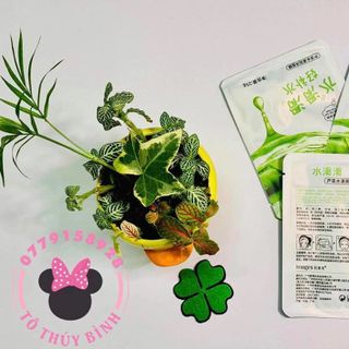 MẶT NẠ NHA ĐAM GIỮ ẨM DA