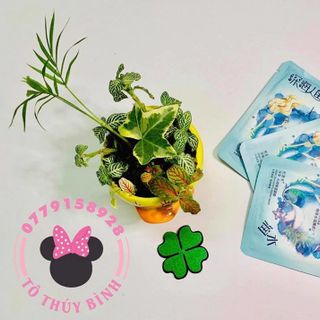 MẶT NẠ THỰC VẬT BIỂN CẤP ẨM MỊN DA