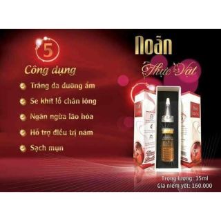Noãn thực vật