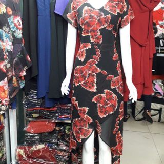 ĐẦM TN1