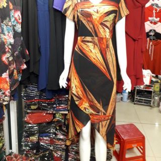 ĐẦM TN1