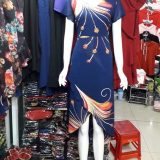 ĐẦM TN1