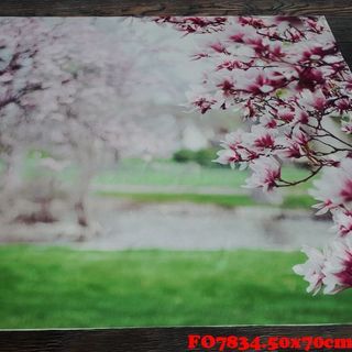 Vải phông nền FO7834 50x70cm