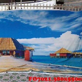Vải phông nền FO7021 380x550cm