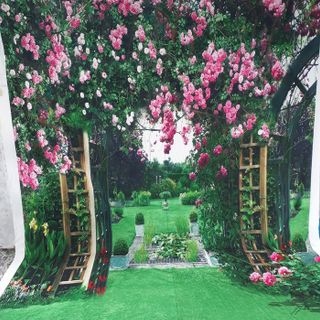 Vải phông nền fo13007 200x250cm