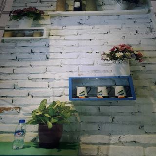 Vải phông nền FO6276 150x200cm