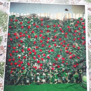 Vải phông nền FO6320 50x70cm