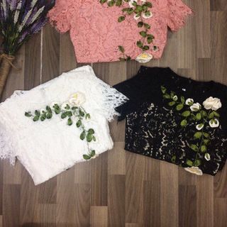 ĐẦM THIẾT KẾ 00