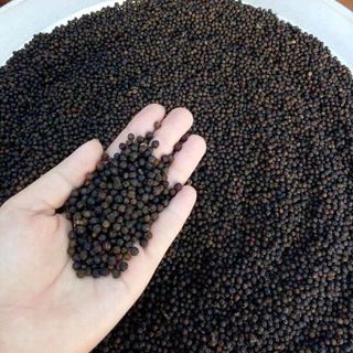 tiêu đen nguyên hạt