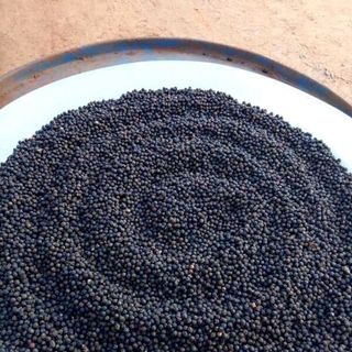 tiêu đen nguyên hạt