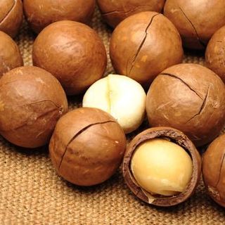 Hạt Mắc ca Ban mê Macadamia