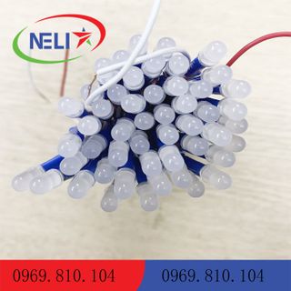 LED liền dây 5mm điện áp 5V màu Xanh dương