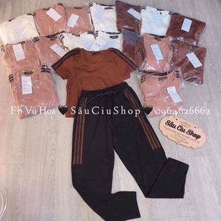 Bộ nữ
